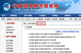 預警丨一大波針對中國的反傾銷措施生效，外貿及貨代企業應對指南